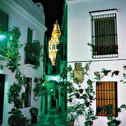 CALLEJON DE LAS FLORES DE LA JUDERIA.jpg