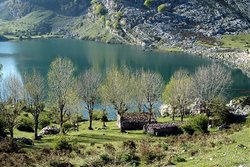 majada de los acebos junto lago enol.jpg