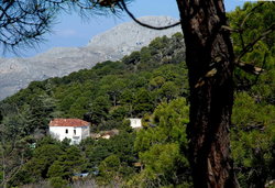 (2009-02-21) Senderismo por la Sierra de Huétor N032.jpg