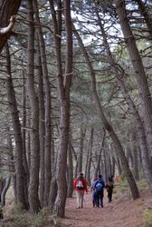 (2009-02-21) Senderismo por la Sierra de Huétor N077.jpg