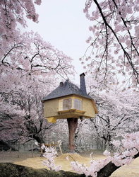 Terunobu Fujinobi - Teahouse Tetsu.jpg