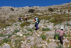 (2009-03-08) Senderismo por la Sierra de Camarolo N046.jpg