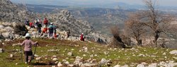 (2009-03-08) Senderismo por la Sierra de Camarolo N091.jpg