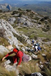 (2009-03-08) Senderismo por la Sierra de Camarolo N106.jpg