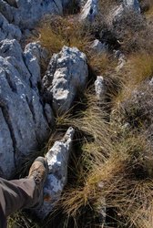 (2009-03-08) Senderismo por la Sierra de Camarolo N115.jpg