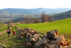 (2009-03-08) Senderismo por la Sierra de Camarolo N142.jpg