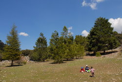 (2009-03-20) Senderismo por la Cañada del Sereno. N104.jpg