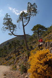 (2009-03-20) Senderismo por la Cañada del Sereno. N113.jpg