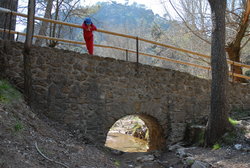 (2009-03-20) Senderismo por la Cañada del Sereno. N120.jpg