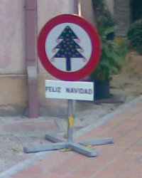 arbol.jpg