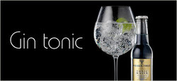Gin-tonic.jpg