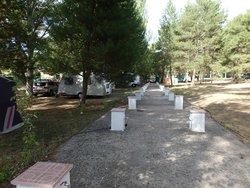 P8290566 - copia.JPG