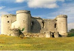 castillo_de_pioz_06.jpg