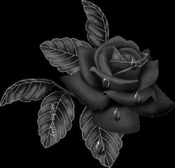 Flores Negras 13.jpg
