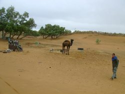 navidades y desierto 2011 072.jpg