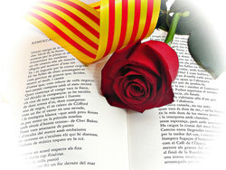 llibre-rosa-senyera.jpg