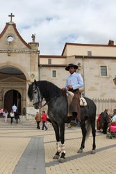 Feria Palazuelo 028.jpg