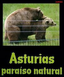 nuevo logo de Asturies.JPG