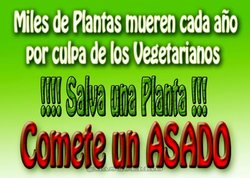 Plantas, Asado, Vegetariano.jpg