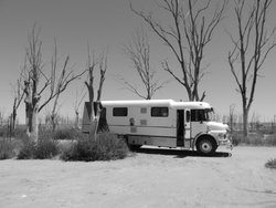 b Epecuen (3).jpg