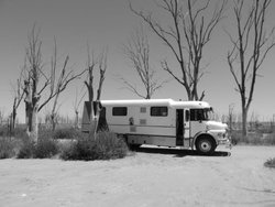 b Epecuen (3).jpg