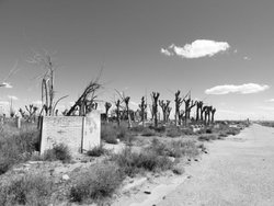 b Epecuen (26).jpg