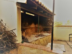 Barbacoa.jpg