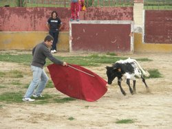 capea de taxistas 2008 002.jpg