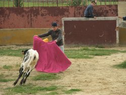 capea de taxistas 2008 010.jpg