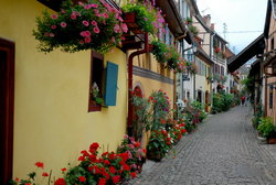 (2009-08-08) Alsacia N185R. Eguisheim.jpg