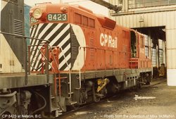 CP 8423-1.jpg