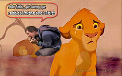 Bear Grylls, Aventura, Proteinas, Simba, Rey Len, Comer, Selva.jpg