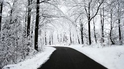 CARRETERA MOJADA Y BOSQUE NEVADO.jpg