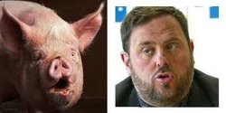 junqueras1.jpg