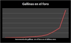 gallinas.jpg