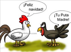 gallina_y_pavo.jpg