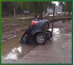 Naturaleza, Animal,Rio, Beber, Bebiendo,Salvaje, Coche, Canal.jpg