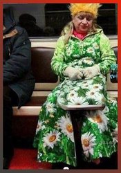 Primavera, Metro, dormir,Bolso, Flores,Margaritas, Estrambotica,Ridiculo.jpg