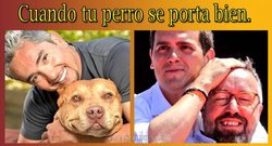 Perros, Comportamiento, Adiestrado.jpg