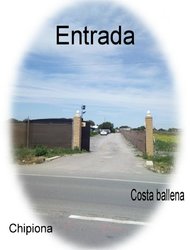 Entrada.jpg