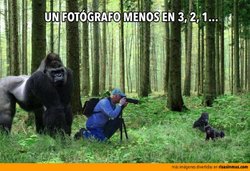 un-fotografo-menos.jpg