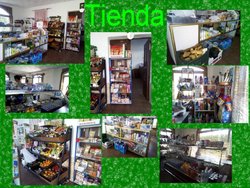 Tienda.jpg