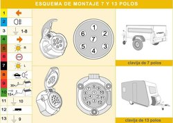 esquema-piña-7-polos-13-polos-caravana.jpg