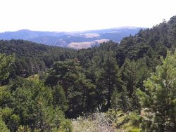 talbarracín_109[1].jpg