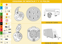 esquema-piña-7-polos-13-polos-caravana.jpg