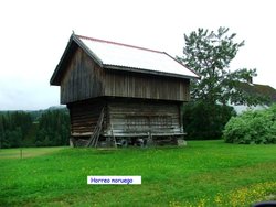 Horreo noruego, 11 de agosto de 2007 (2) (600 x 450).jpg