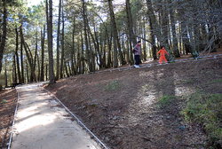 (2010-01-02) Sendero de las Mimbres N012R.jpg