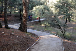 (2010-01-02) Sendero de las Mimbres N013R.jpg