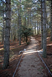 (2010-01-02) Sendero de las Mimbres N014R.jpg