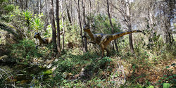 2019-08-15-Mèze-museu-dinosauris-(5).jpg